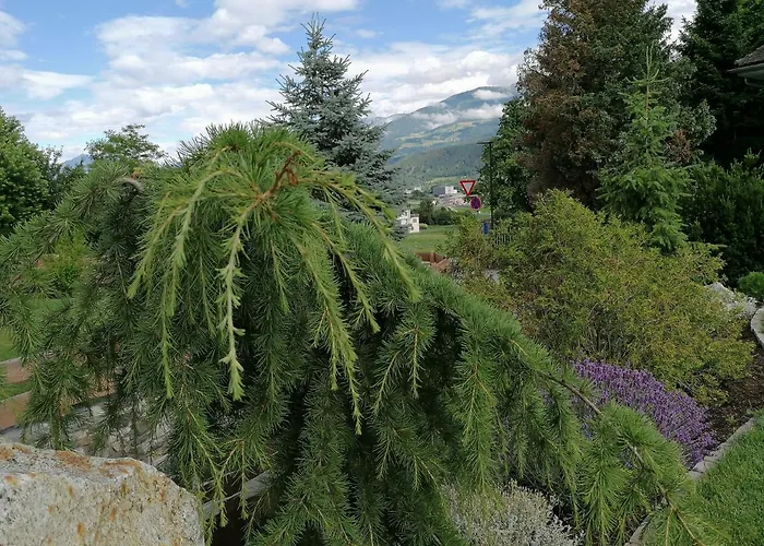 Plainer 因斯布鲁克